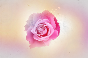 _rose_texture_1